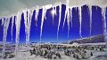 38 - Melting antarctic - HUANG CHI-LAI - taiwan